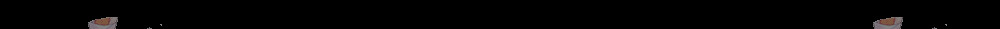 1732813879_14130929565244.jpg