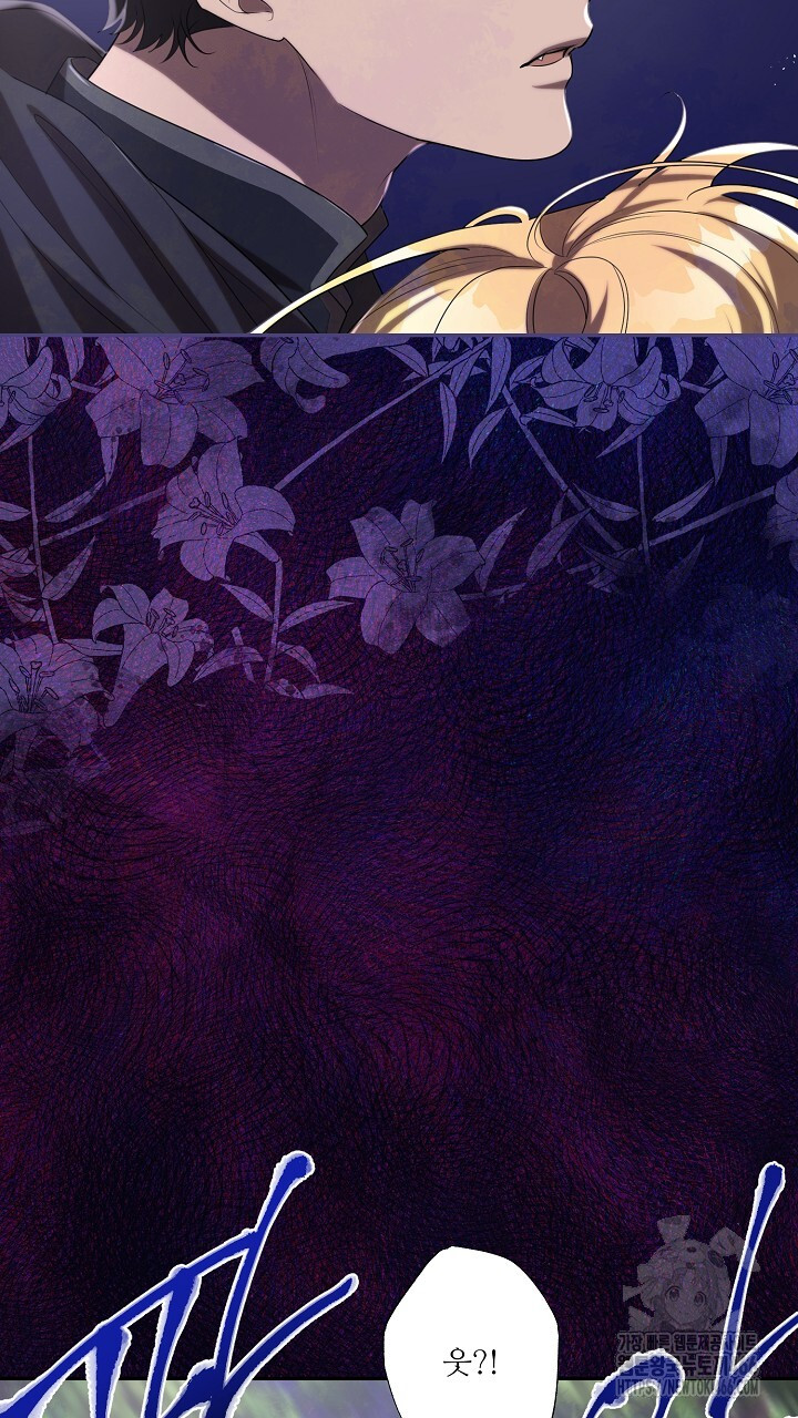 1734362016_82777770849366.jpg