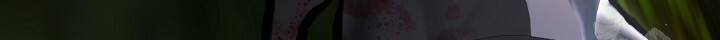 1734970127_63813054701325.jpg