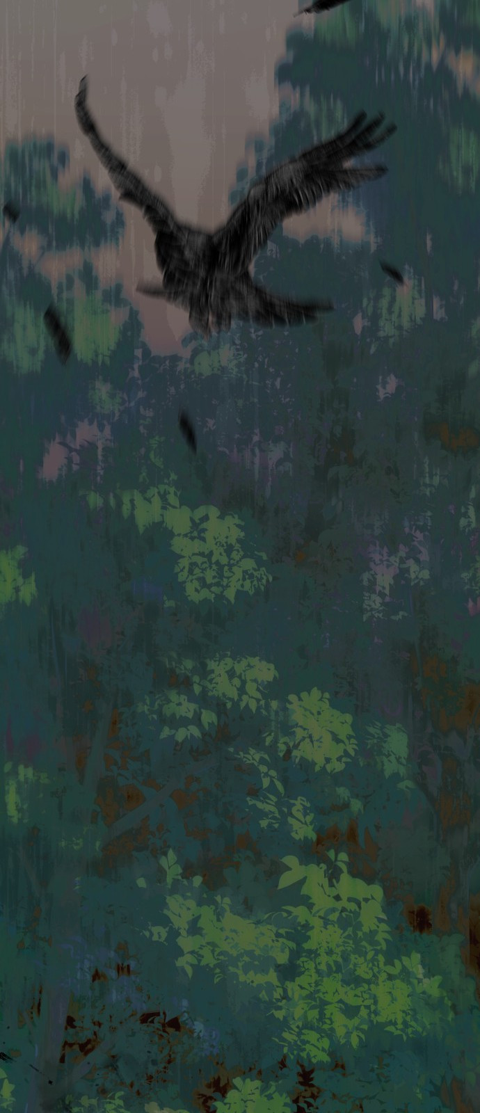 1735754648_32490494367371.jpg