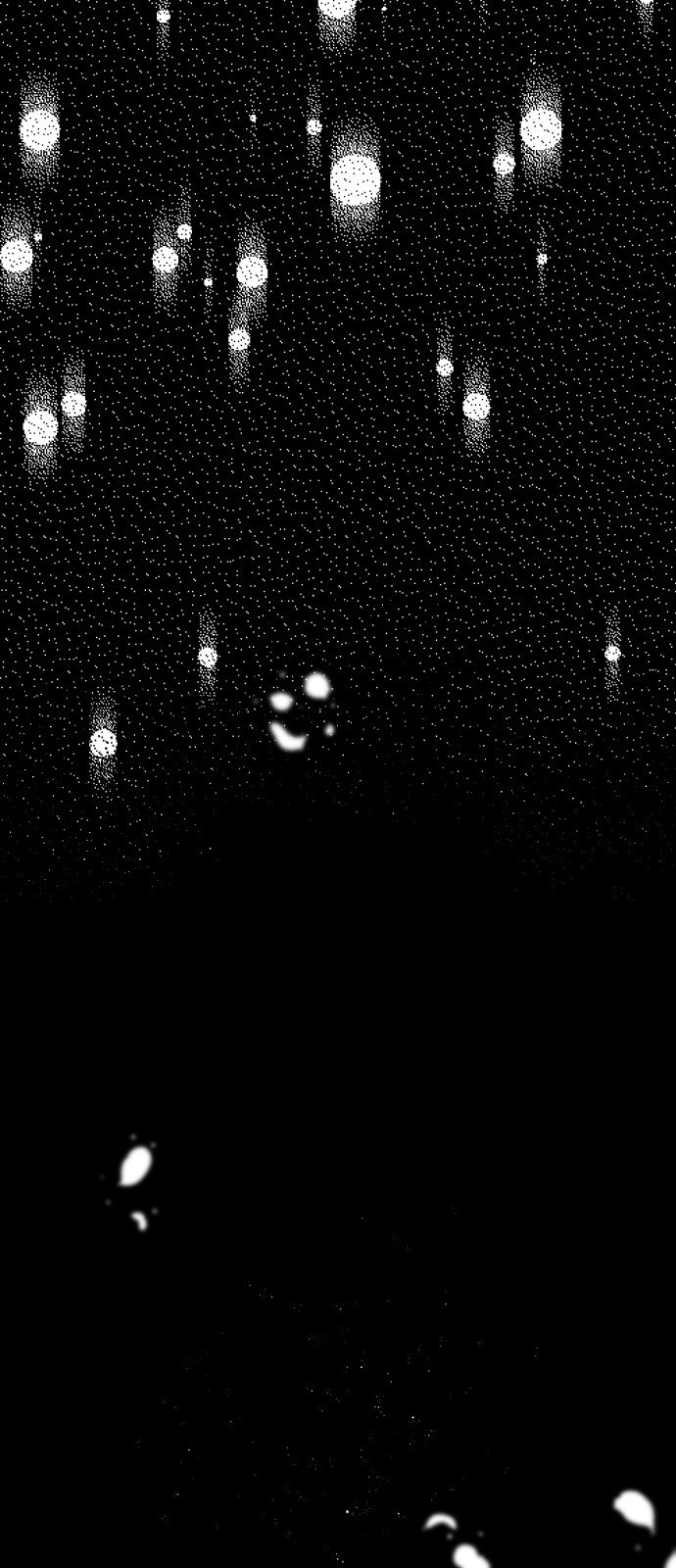 1735754796_20734540378977.jpg