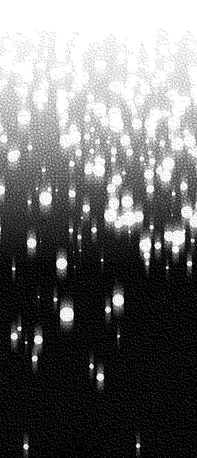 1735754793_11773883621721.jpg