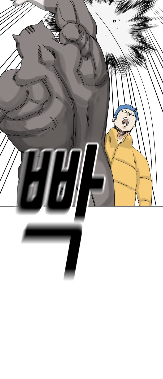 1743020262_89437572466904.jpg