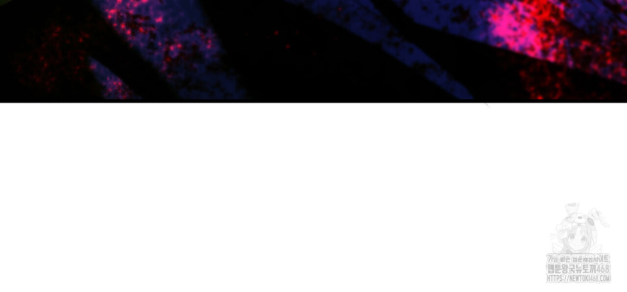 1743521922_19191370225281.jpg