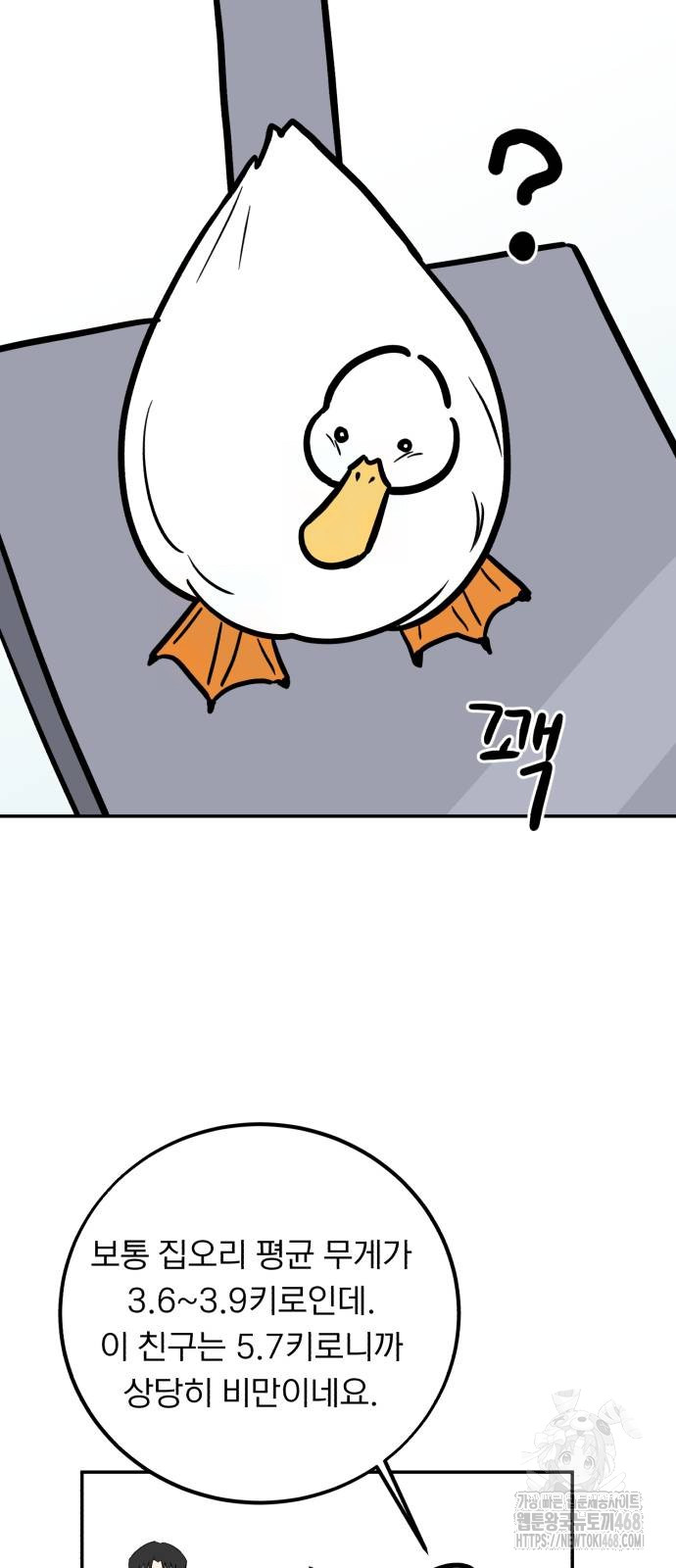 1743764902_59271135534516.jpg