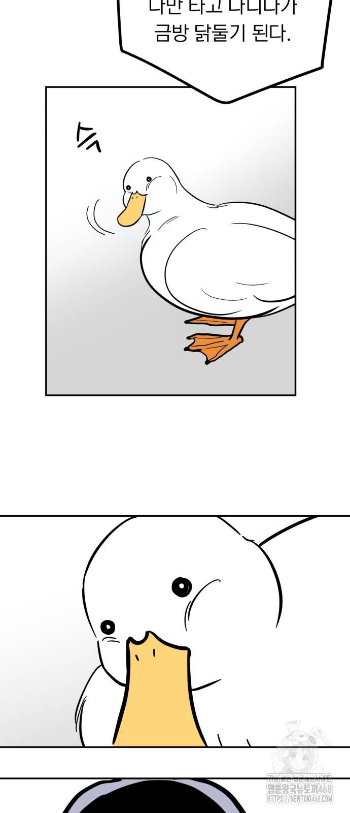 1743765046_40466535444382.jpg