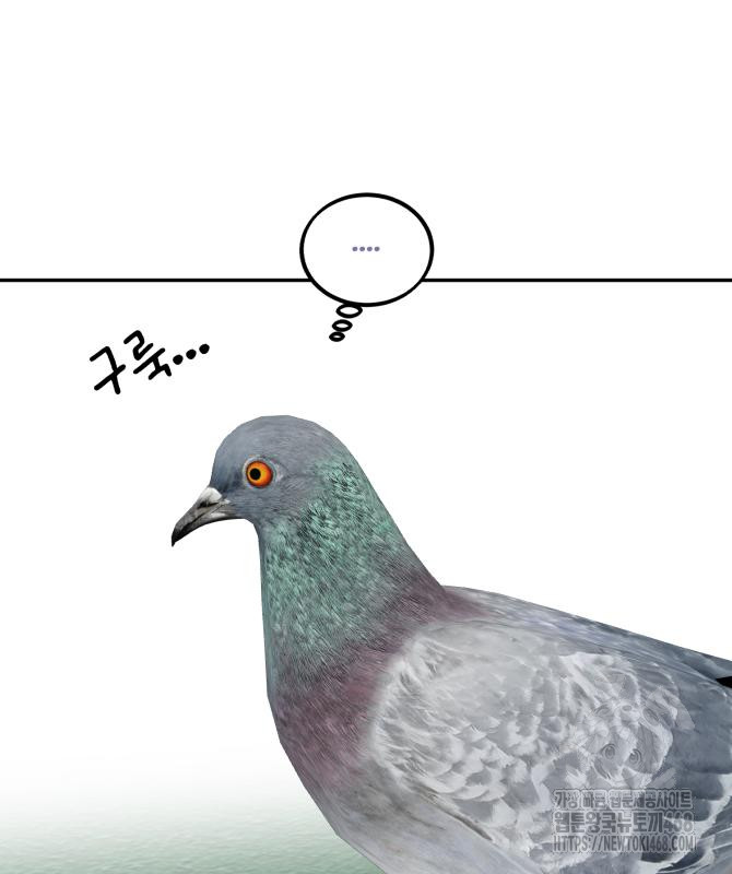 1743765063_91118593381842.jpg