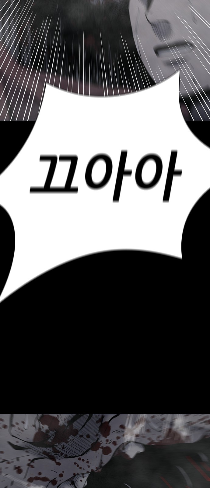 1744219311_30597346480739.jpg