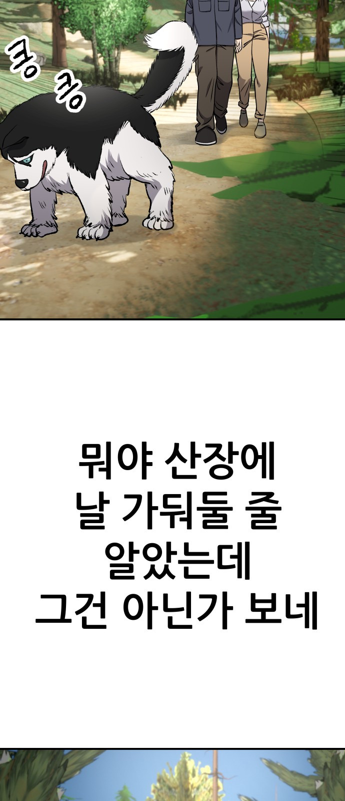 1746119300_14039199624250.jpg