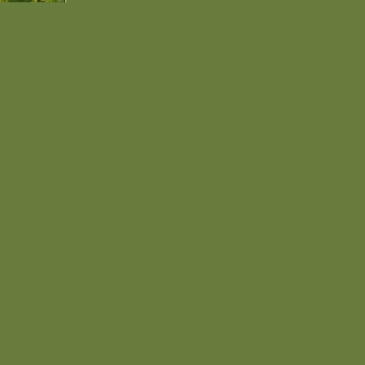 bt_1746551486_23504742245463.jpg