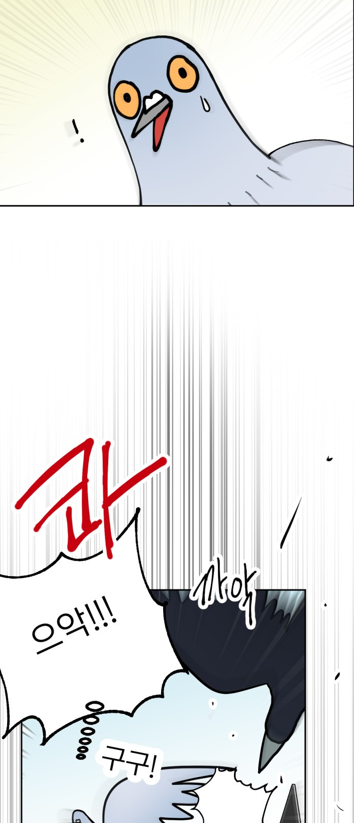 1746724026_72417376252396.jpg