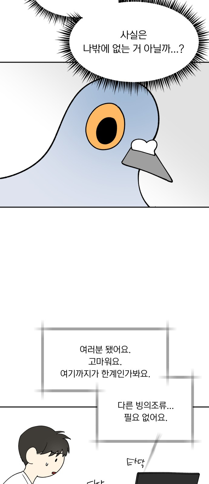 1747352066_42338532206422.jpg