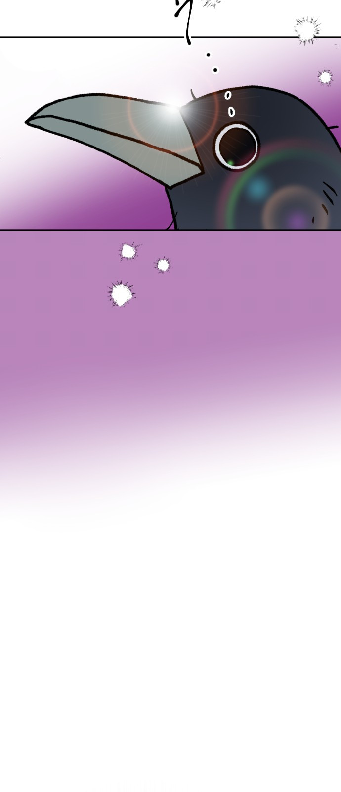 1747352002_35814743711012.jpg