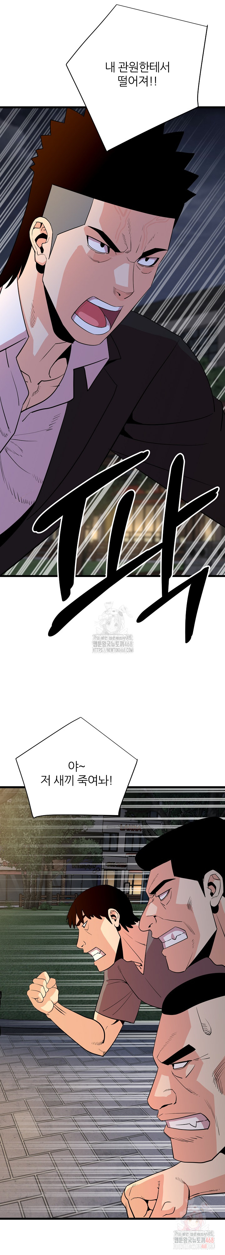 1747679559_94250746731452.jpg