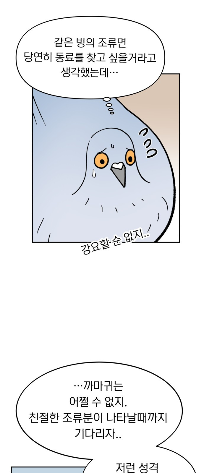 1748605592_55756418425838.jpg