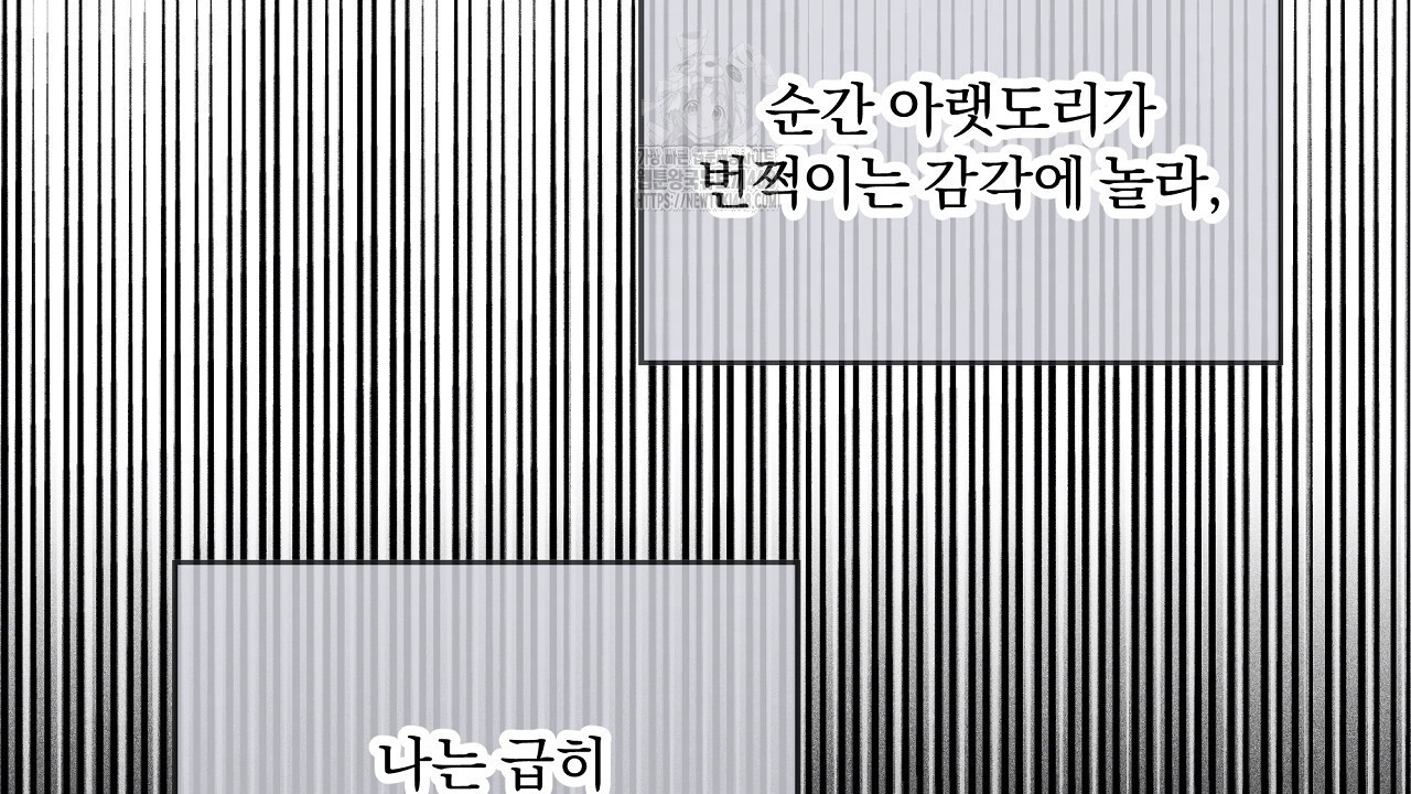 1749078392_76416965987947.jpg
