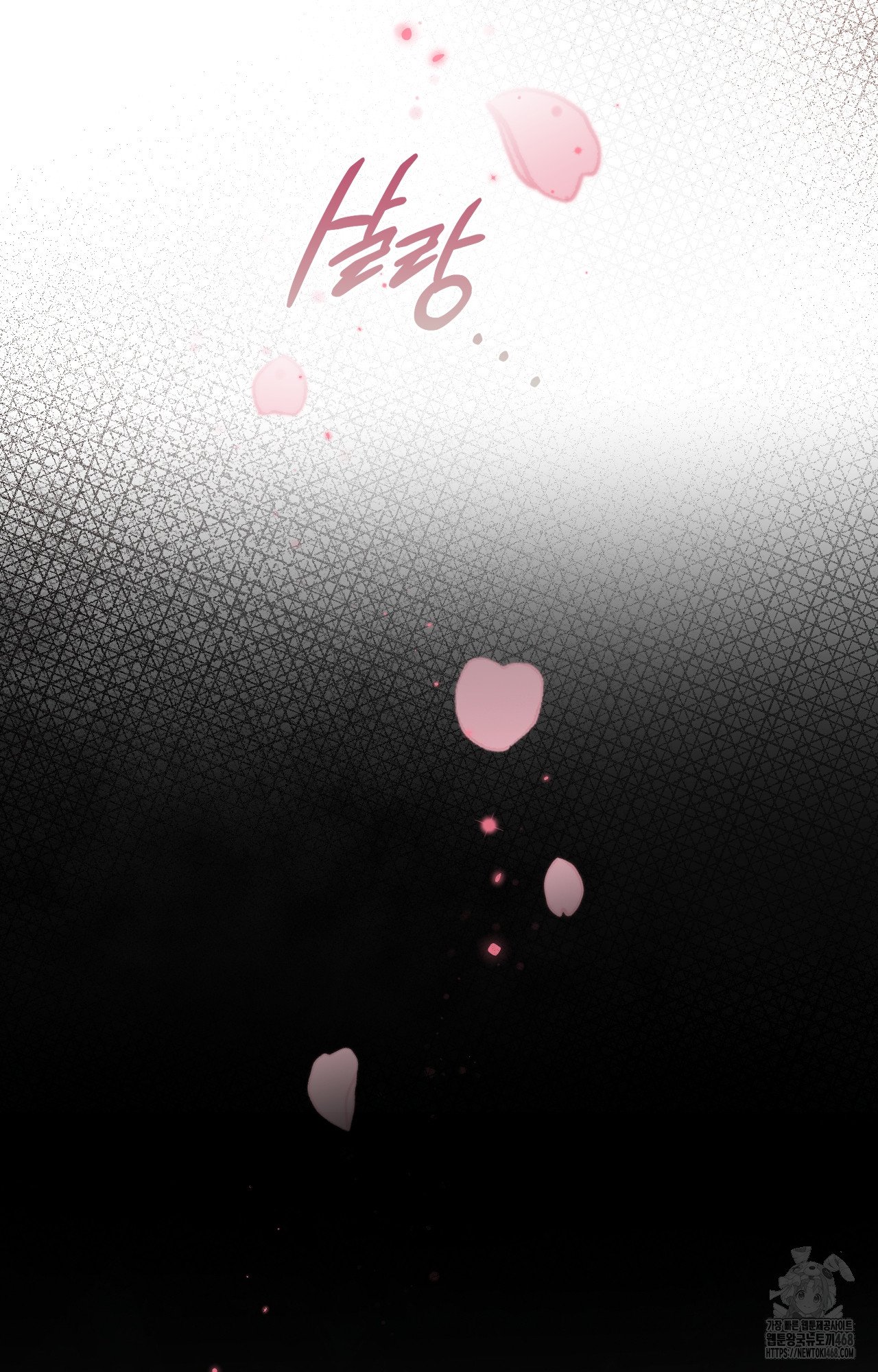 1749078613_28488463748765.jpg