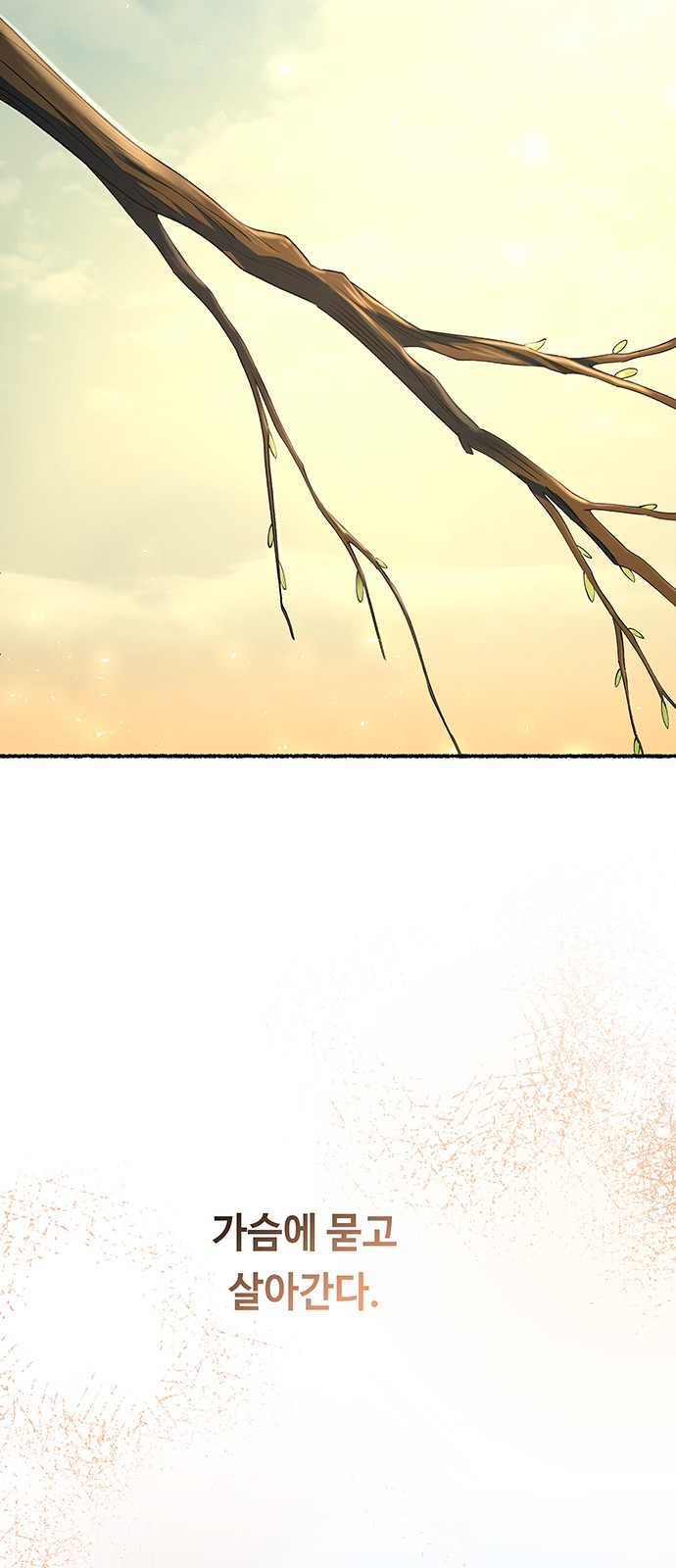 1749789085_60456338557235.jpg