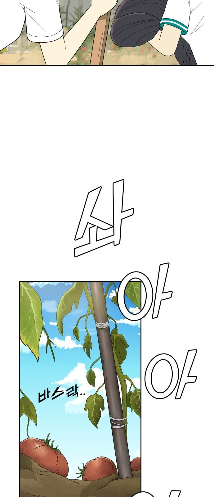 1685750791_77556253544410.jpg