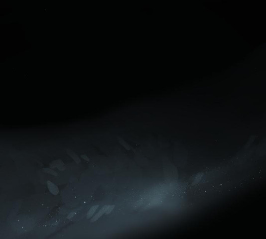 1685754808_28086935019307.jpg
