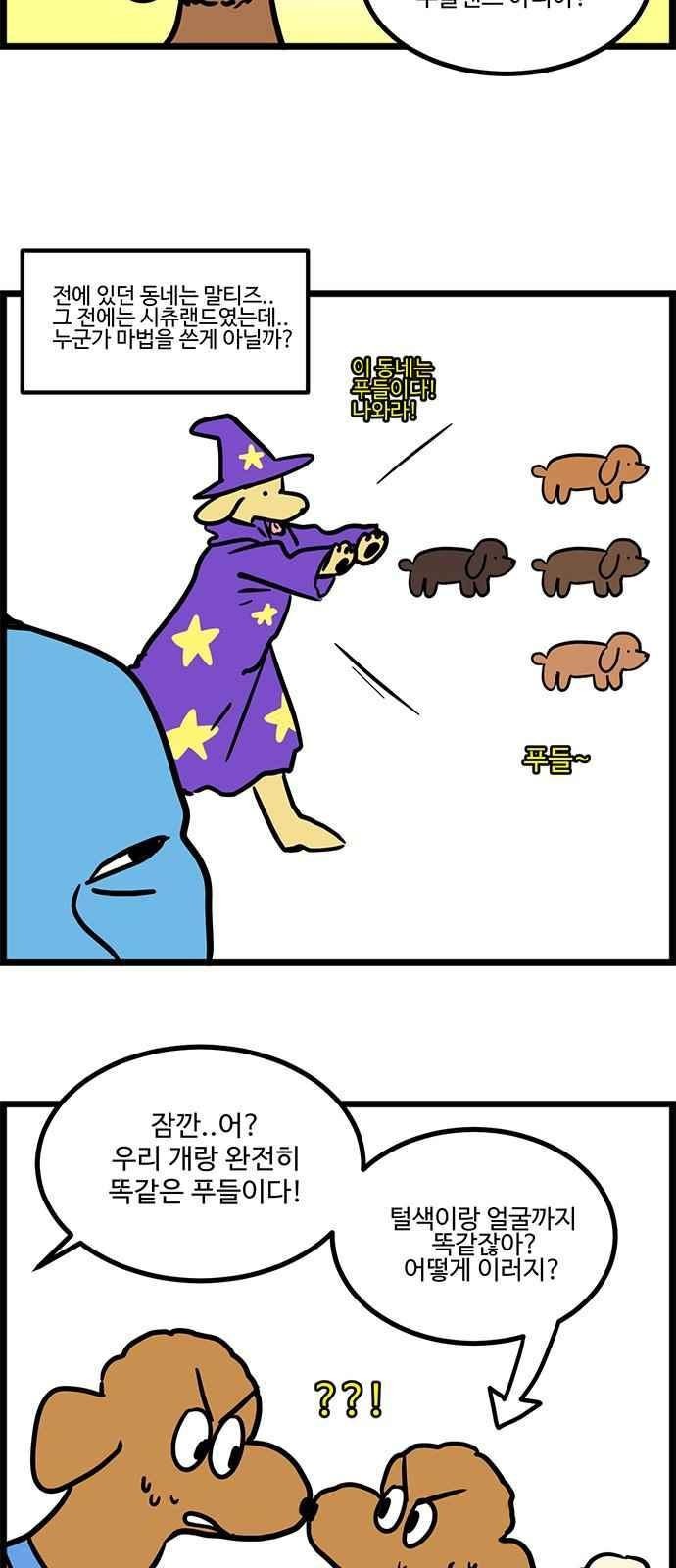 1685763516_11031250862404.jpg