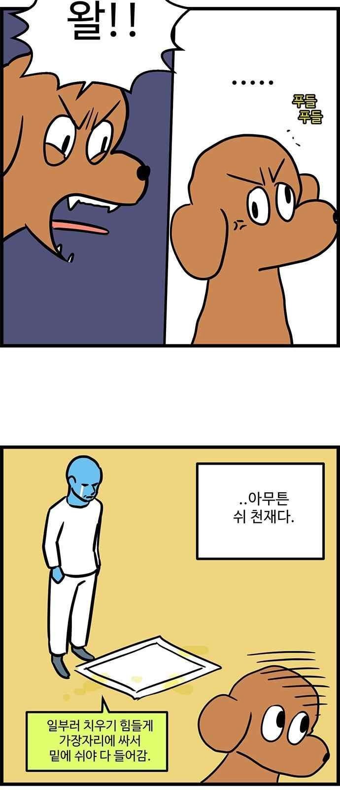 1685764065_89200113947622.jpg
