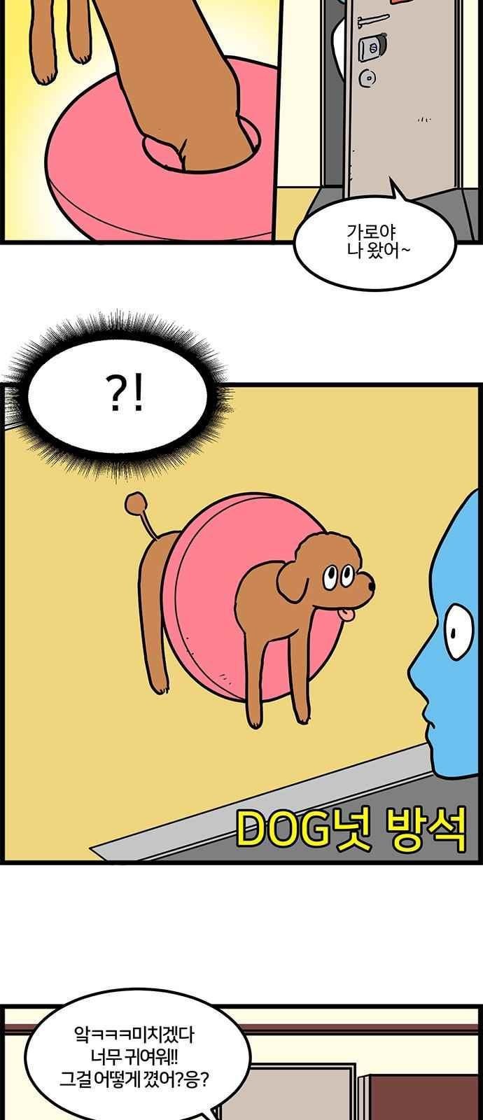 1685764270_34480241307382.jpg