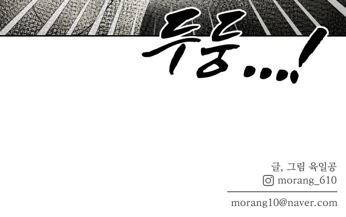 1685771241_43283235446838.jpg