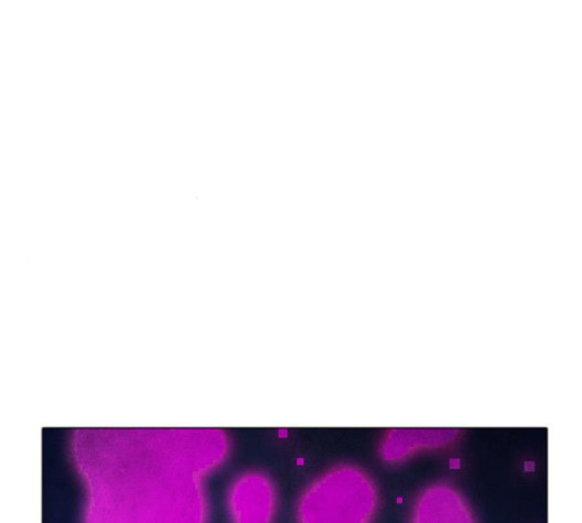 1685783957_40874801266650.jpg