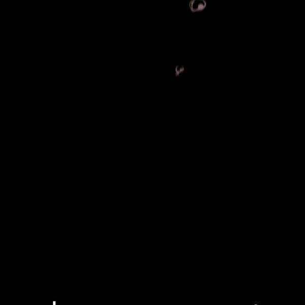 1685784097_37602702631264.jpg