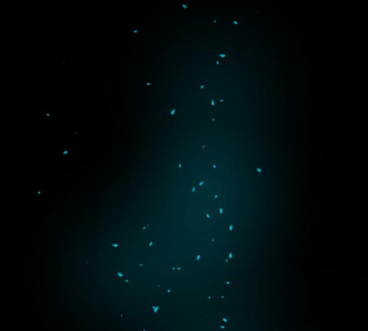 1685785132_24458850865387.jpg