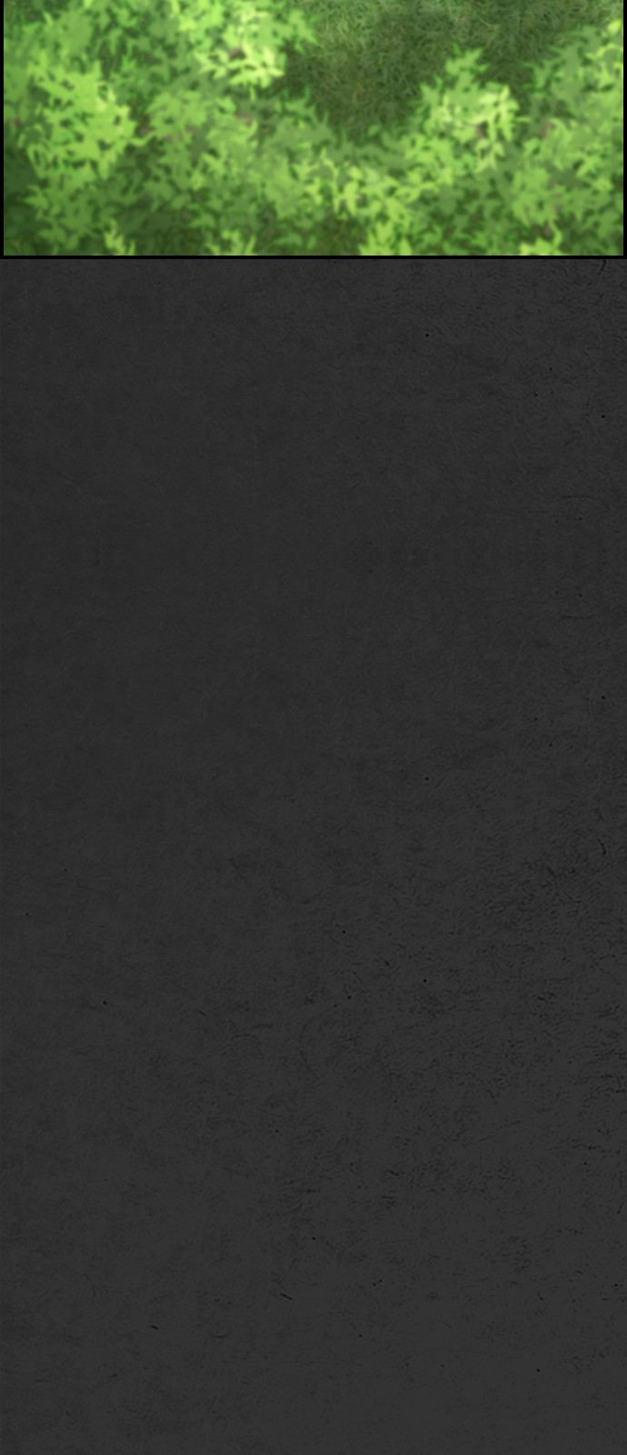 1685786577_39321358219868.jpg