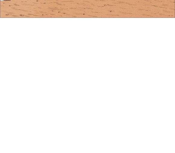 1685805321_70873438754291.jpg