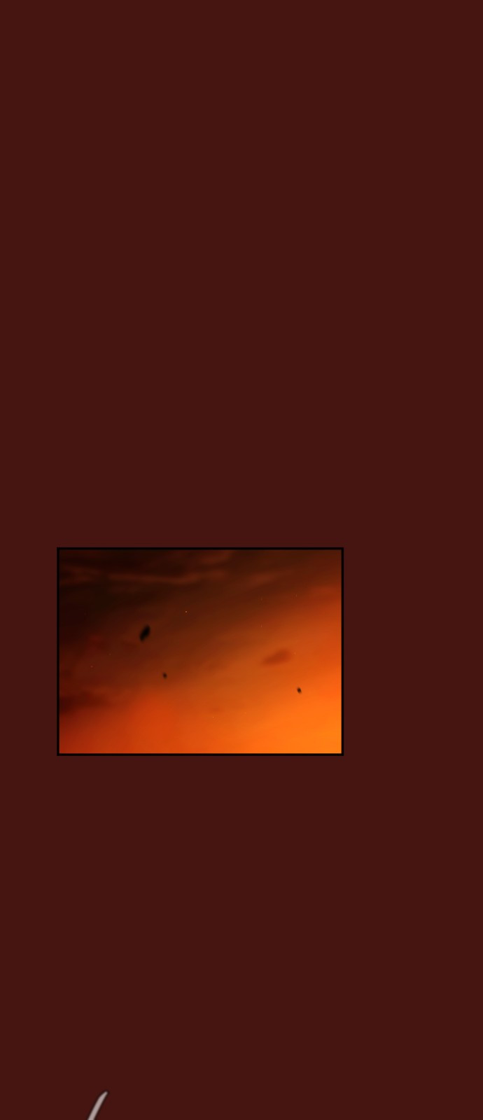 1685810185_55137612325437.jpg