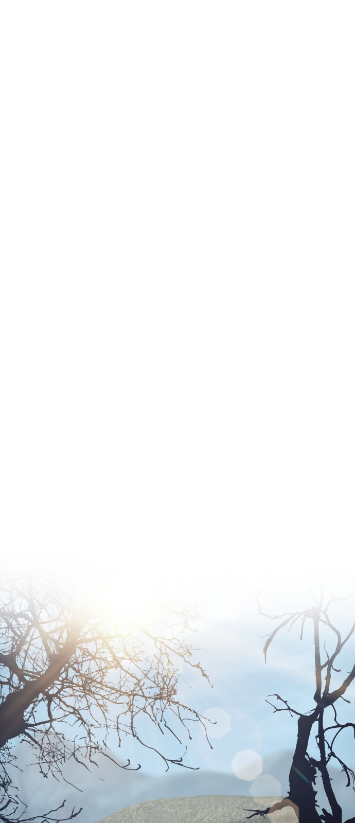 1699916624_66508994530647.jpg
