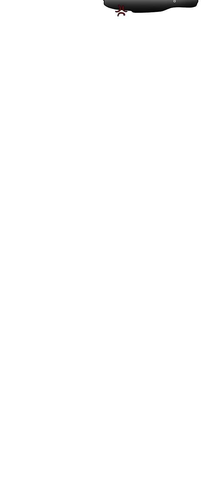 1699959782_62552287484355.jpg