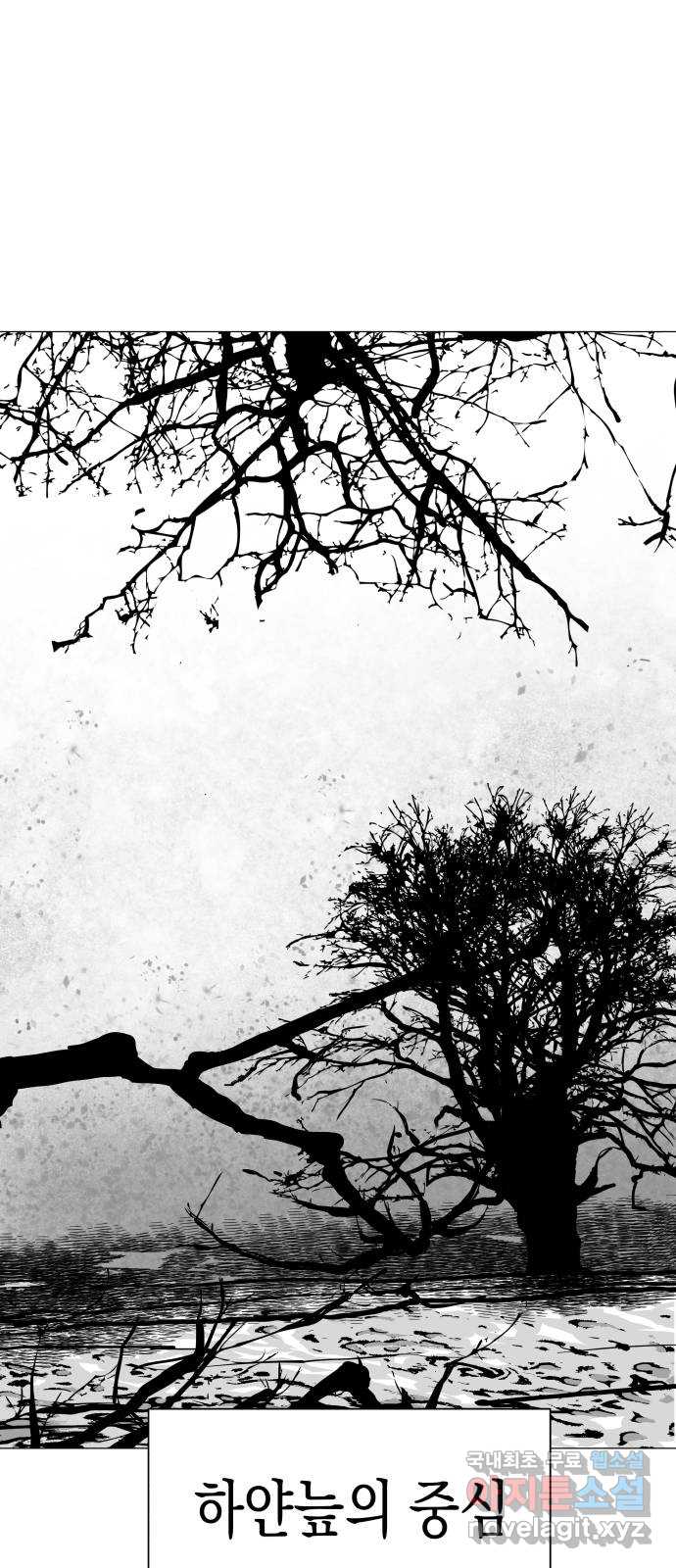 bt_1703044125_38656453614626.jpg