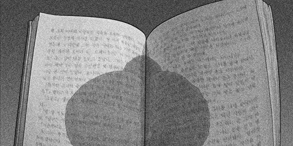bt_1703191249_17374038984763.jpg