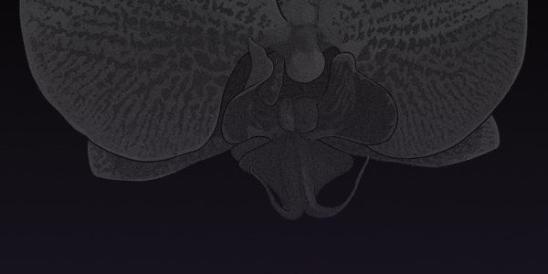 bt_1703191307_69084390395978.jpg