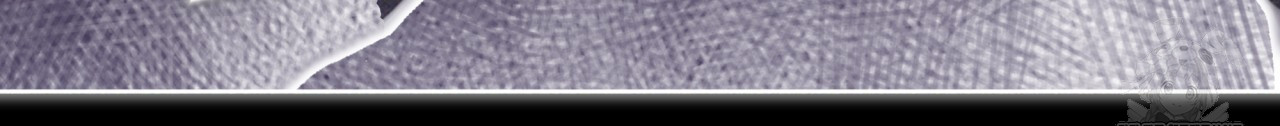 1708029656_51281761830901.jpg