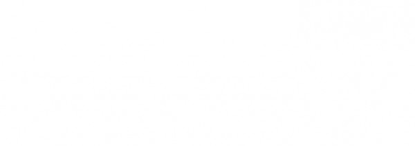 1712913022_11429126455838.jpg