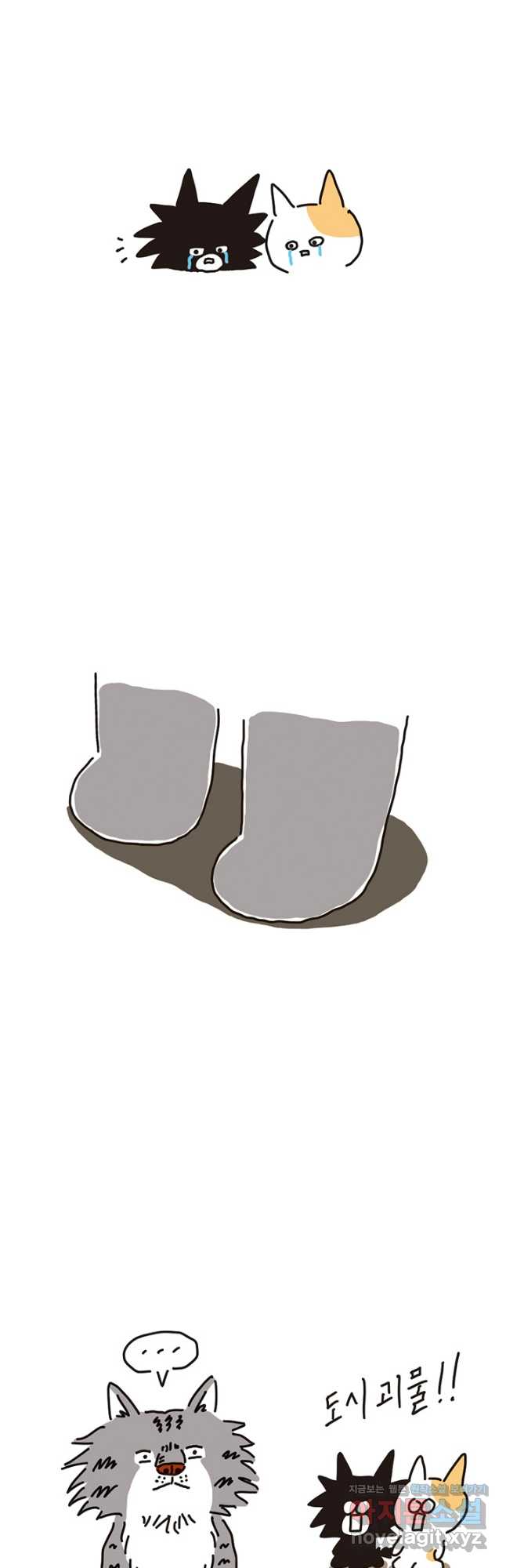 bt_1714066283_74617295893037.jpg