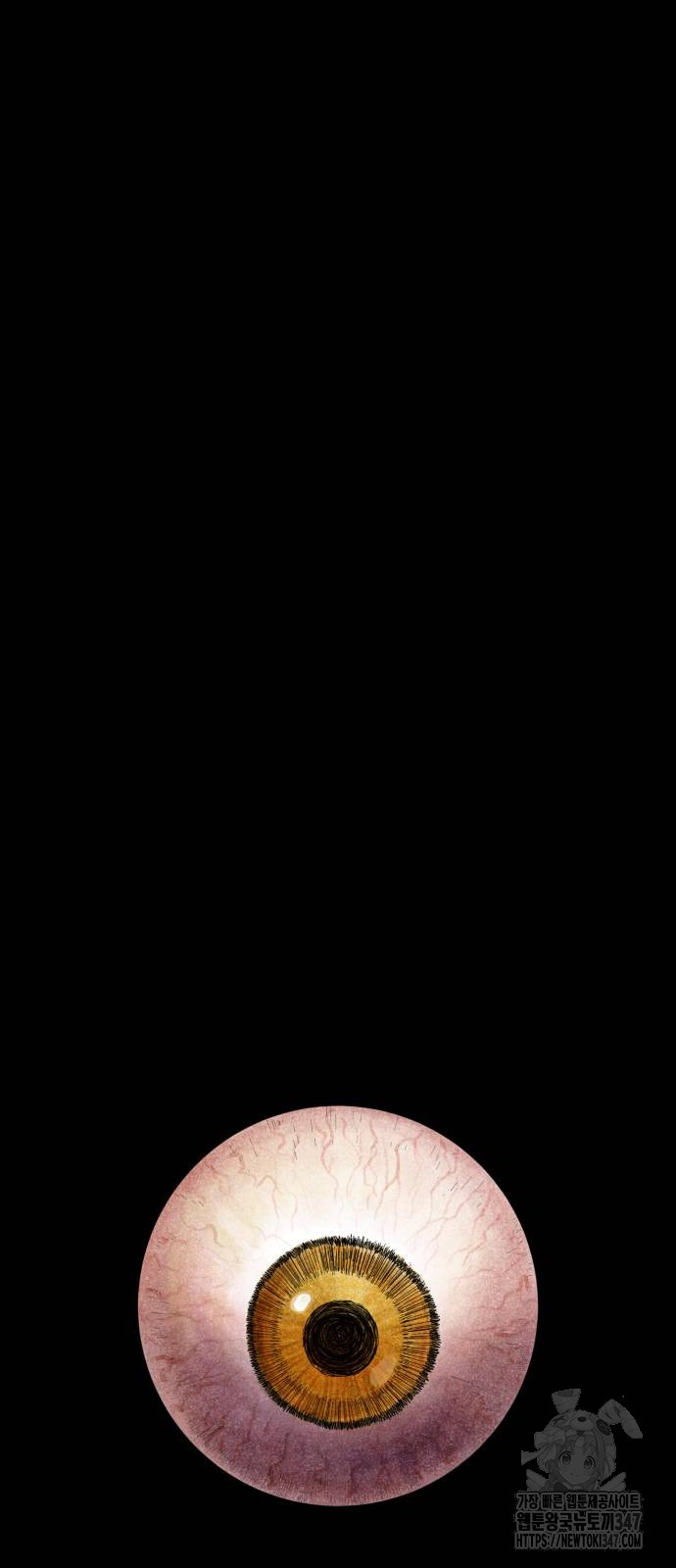 1722618019_96992643949249.jpg