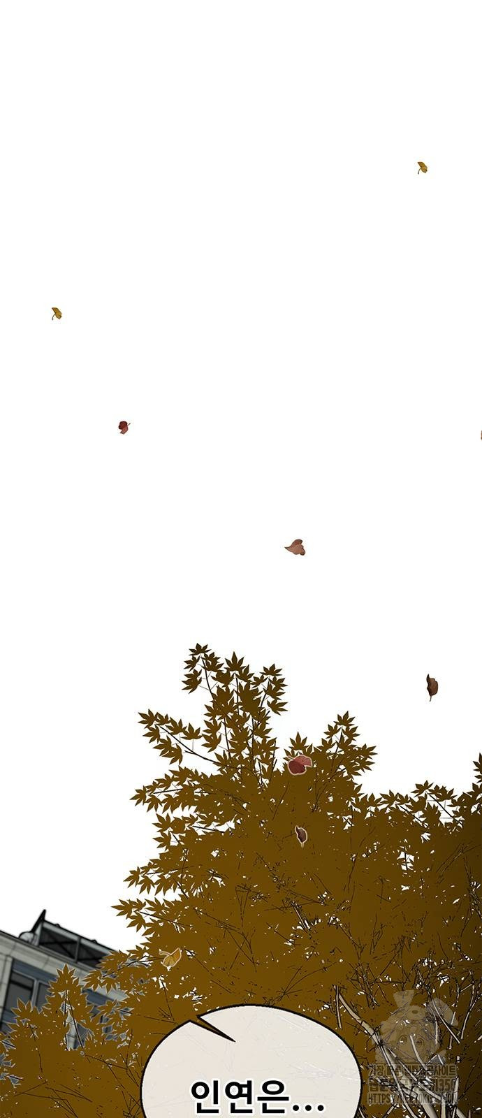 1724951028_37034924039068.jpg