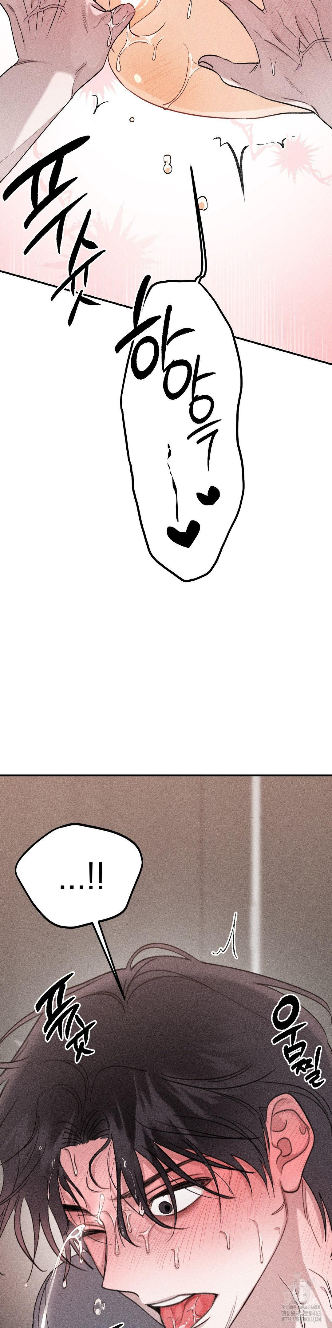 1728925358_95183641971293.jpg