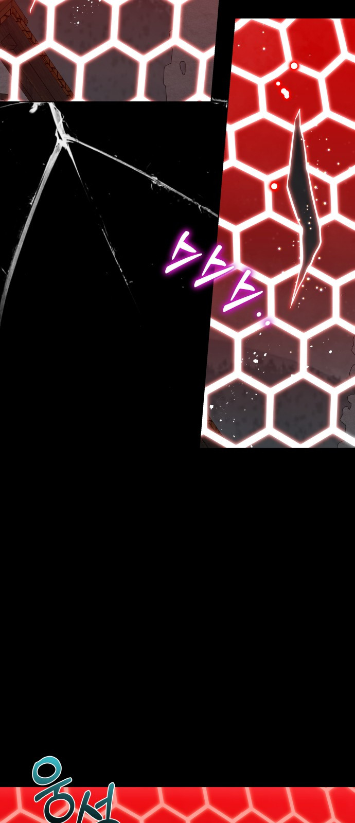 1729177481_97001265645642.jpg