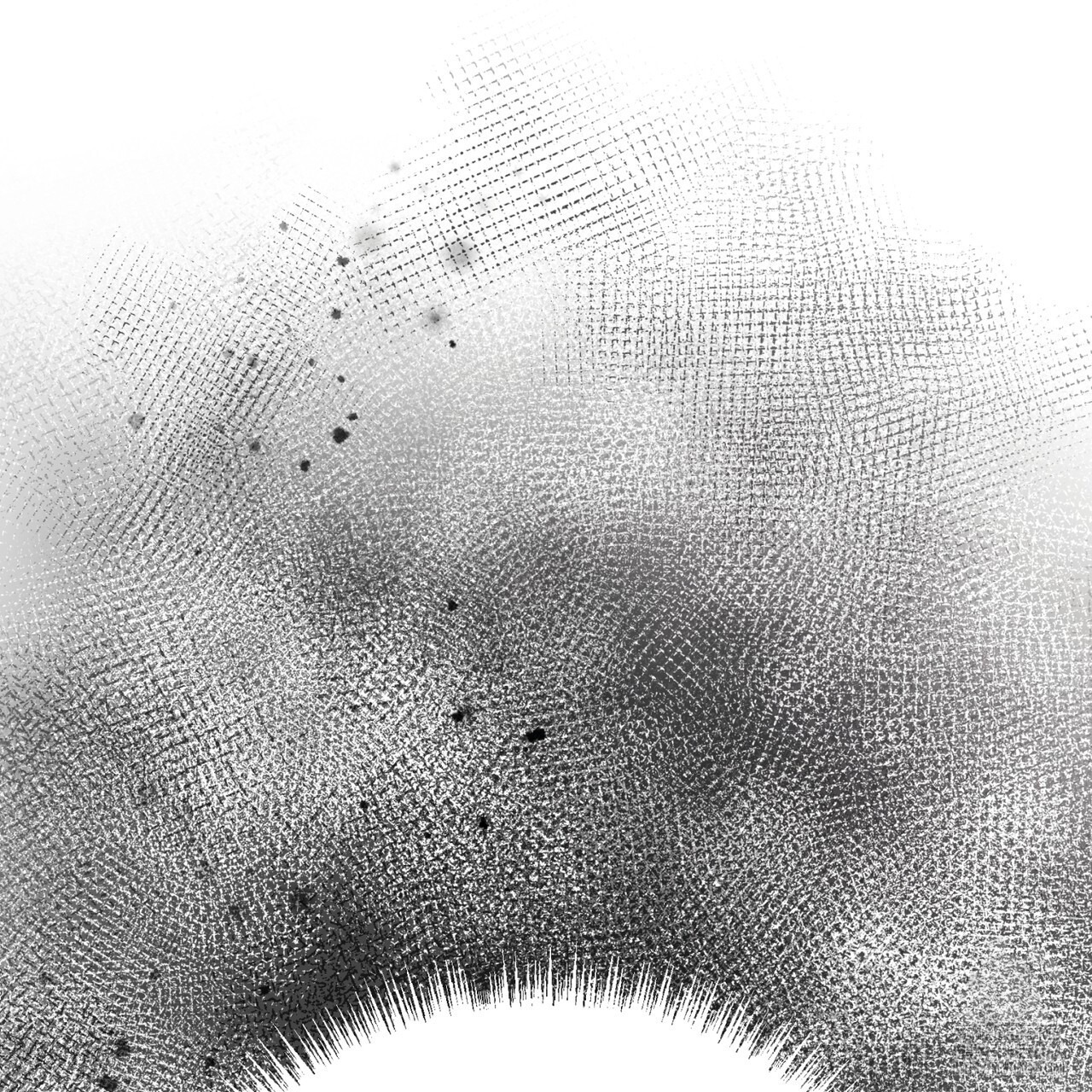 1729620345_25793983607853.jpg