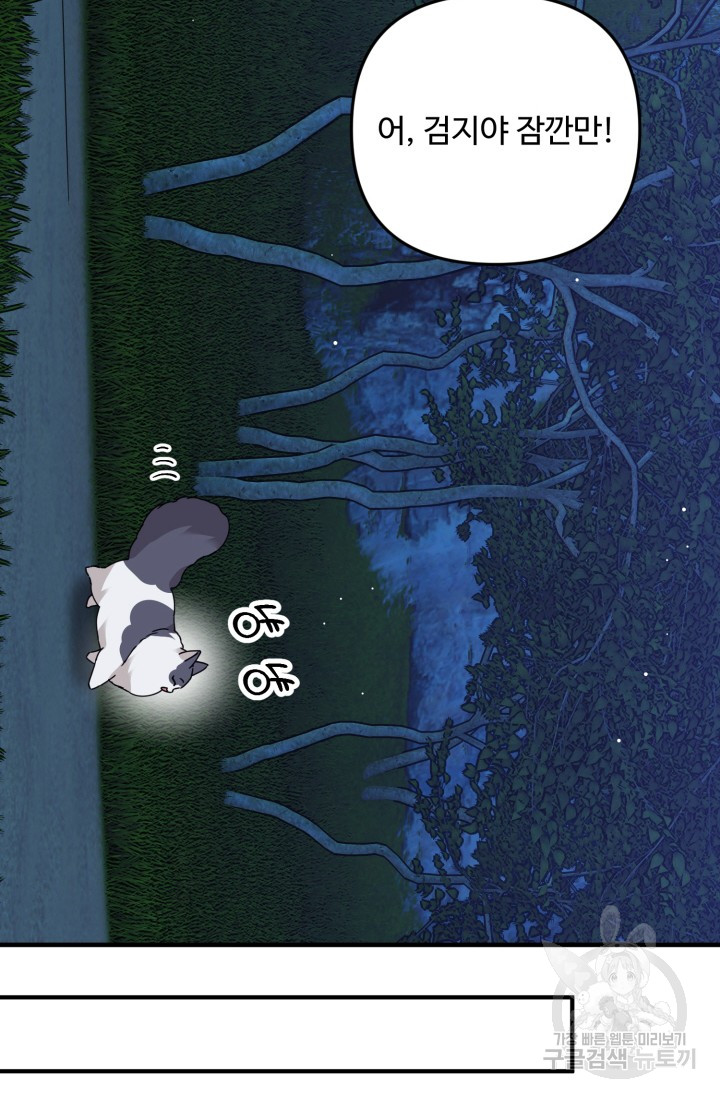 1685729528_16801116131498.jpg