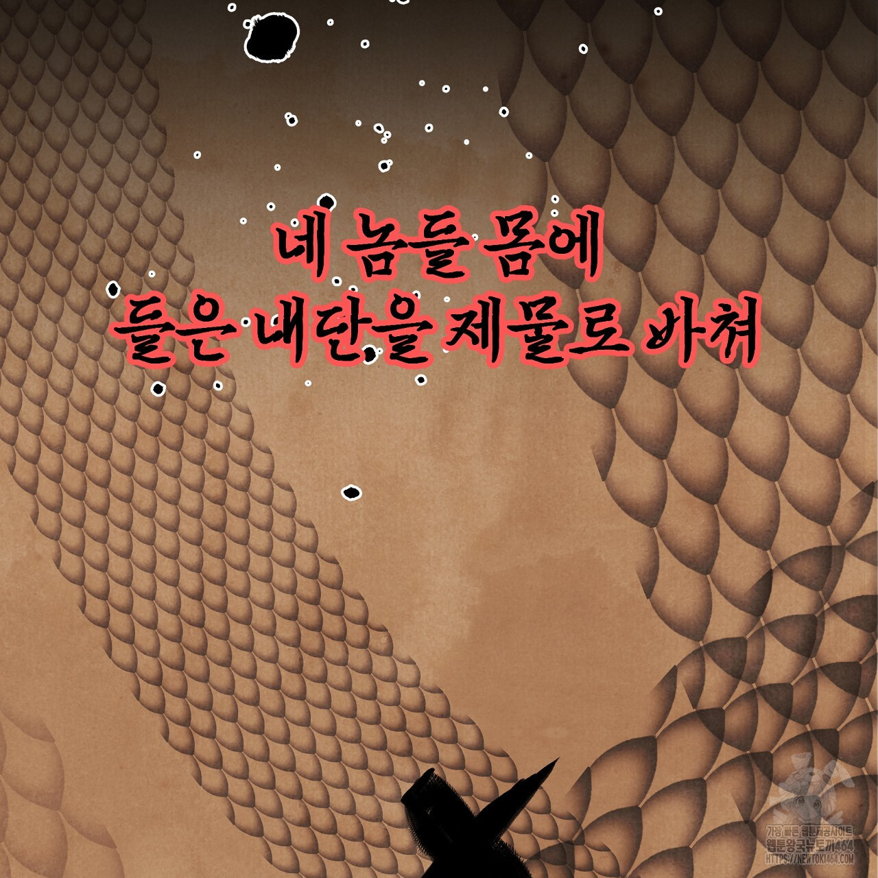 1729962807_93432933147864.jpg